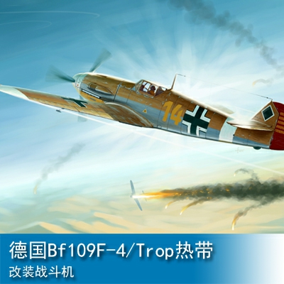 Trumpeter Messerschmitt Bf 109F-4/Trop 1:32 Fighter 02293
