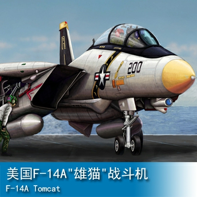Trumpeter F-14A Tomcat 1:144 Fighter 03910